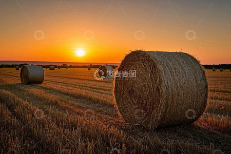 夕阳下田野中的干草捆