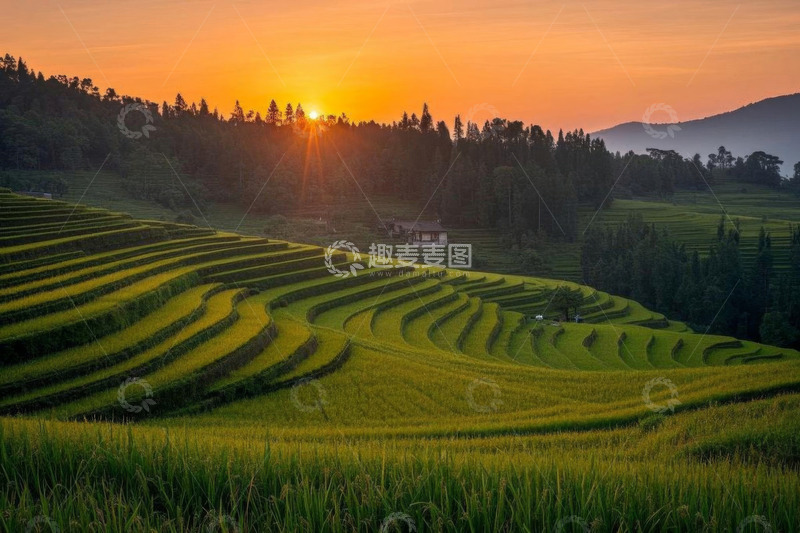 高清大图下载【趣麦麦图】夕阳下的山间梯田稻田景观