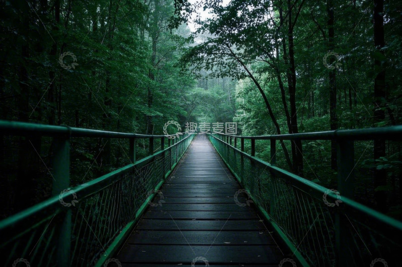高清大图下载【趣麦麦图】森林中的木质栈道