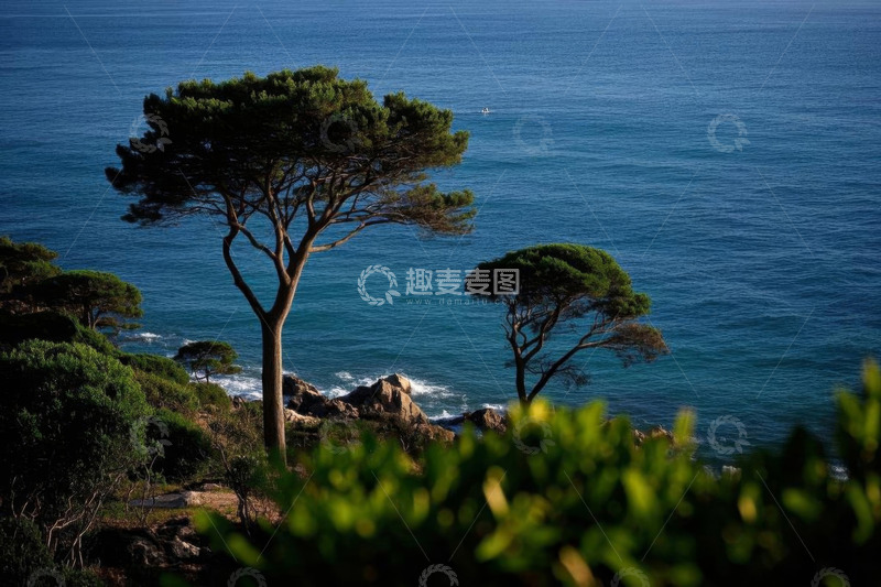 高清大图下载【趣麦麦图】海岸边绿树与蓝色海洋景观