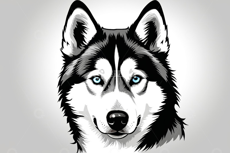 高清大图下载【趣麦麦图】哈士奇头部特写插画