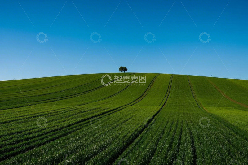 高清大图下载【趣麦麦图】绿色田野与山顶孤树景观