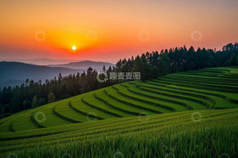 高清大图下载【趣麦麦图】夕阳下的梯田自然风光