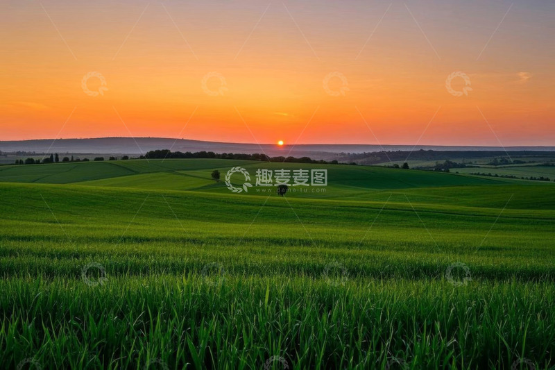 高清大图下载【趣麦麦图】田野日落全景