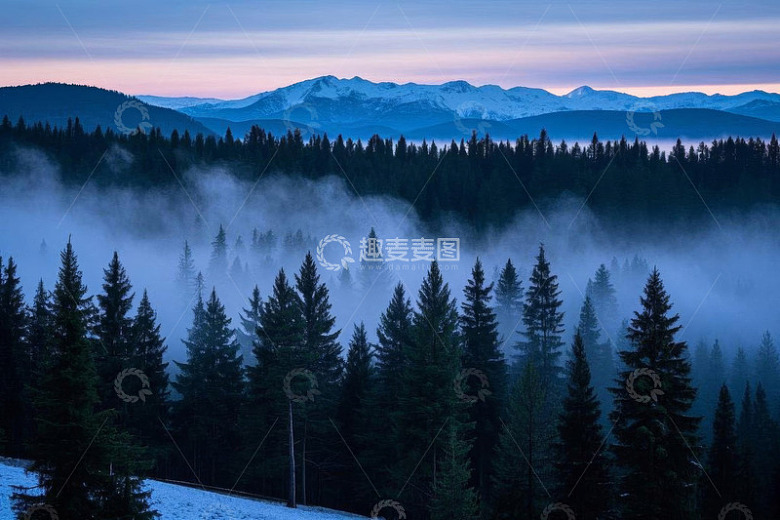 山林间晨雾弥漫的森林景观