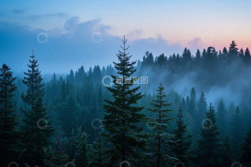 高清大图下载【趣麦麦图】晨雾中的森林景观