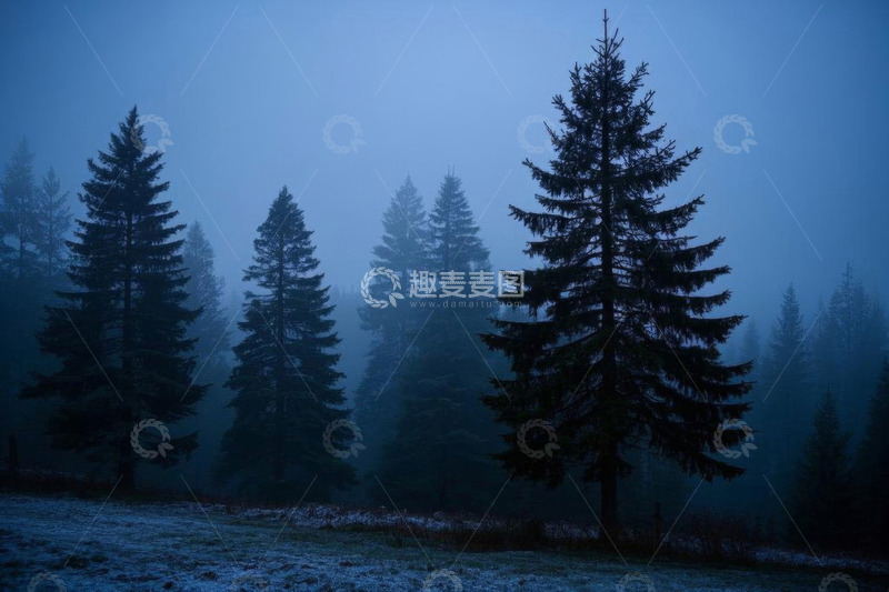 高清大图下载【趣麦麦图】雾中森林松树景象