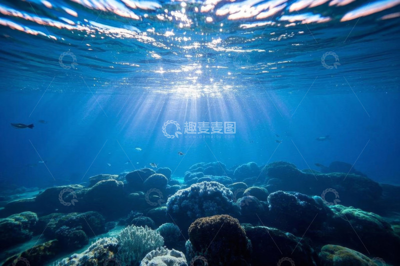 高清大图下载【趣麦麦图】海底阳光照射下的珊瑚景观