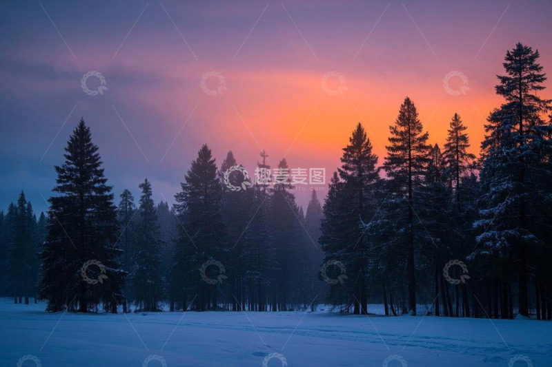 高清大图下载【趣麦麦图】雪后森林日出自然风光