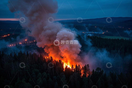 森林火灾浓烟滚滚景象