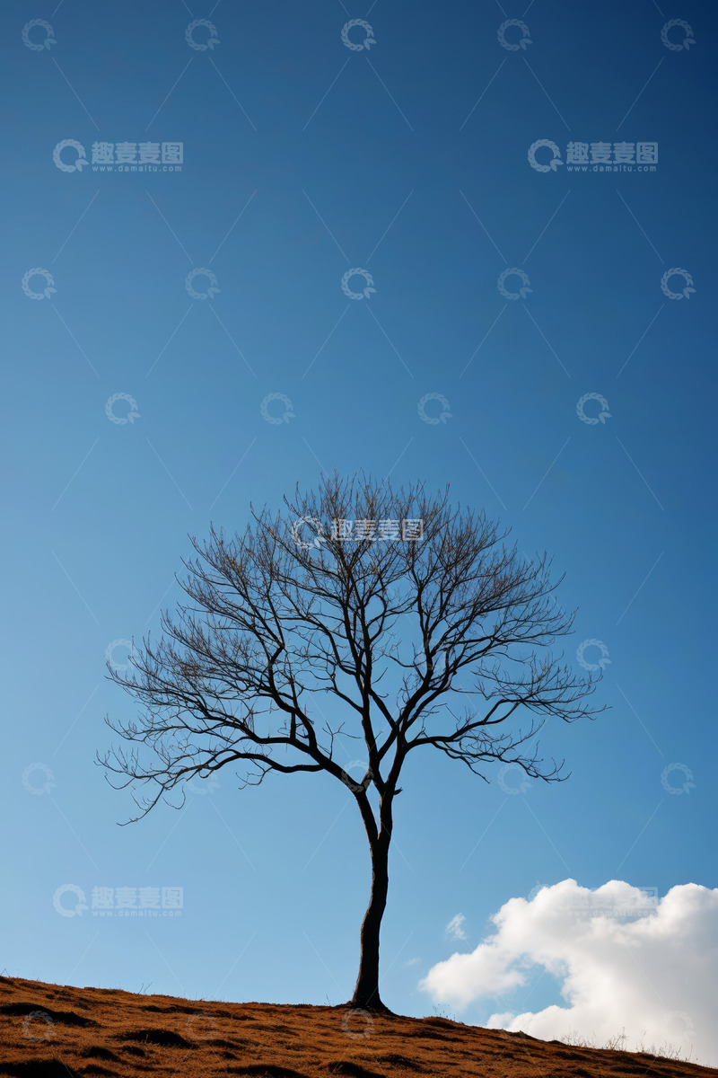 高清大图下载【趣麦麦图】蓝天下山坡上的孤树