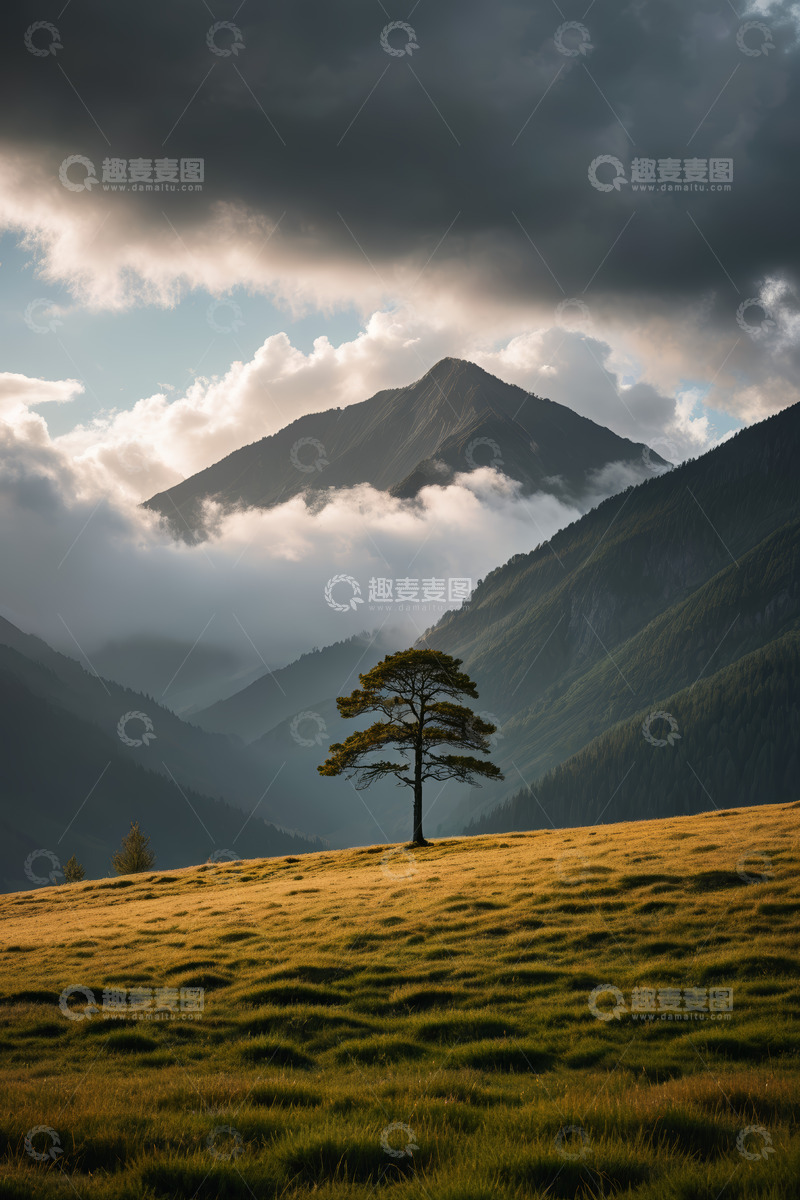 高清大图下载【趣麦麦图】山间草原孤树与云雾景观