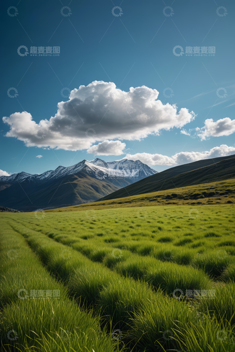 高清大图下载【趣麦麦图】草原雪山自然风光