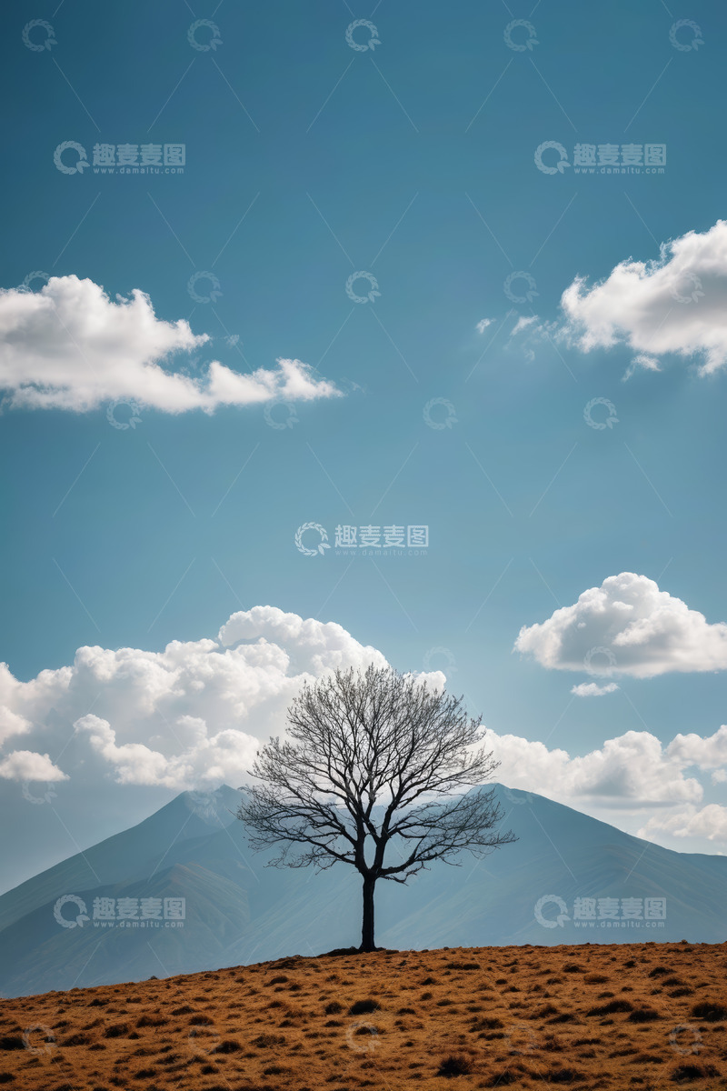高清大图下载【趣麦麦图】山丘上的孤树与蓝天白云