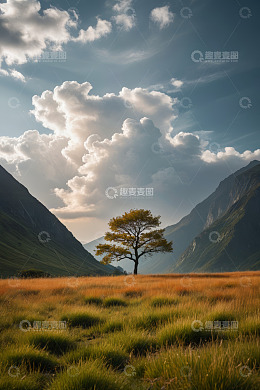 山间草地单棵树木自然风光