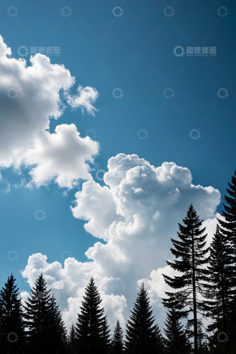高清大图下载【趣麦麦图】蓝天白云下的森林树梢景象