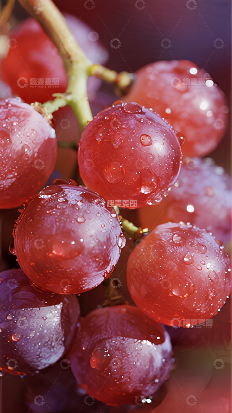 高清大图下载【趣麦麦图】新鲜红葡萄水滴特写