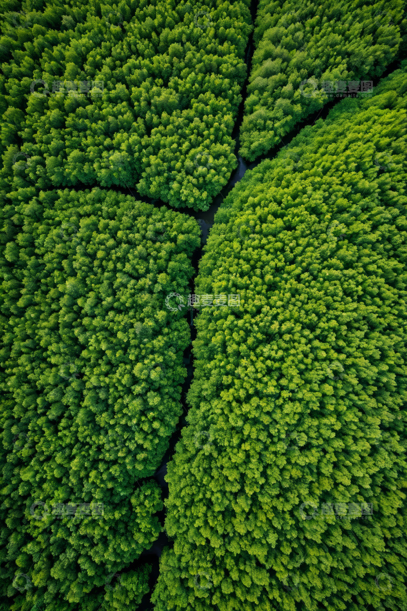 高清大图下载【趣麦麦图】森林俯瞰全景