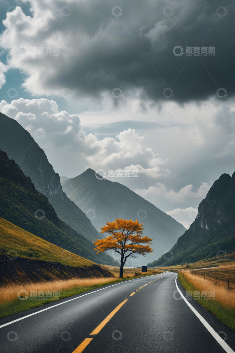高清大图下载【趣麦麦图】山间公路旁的独树风景