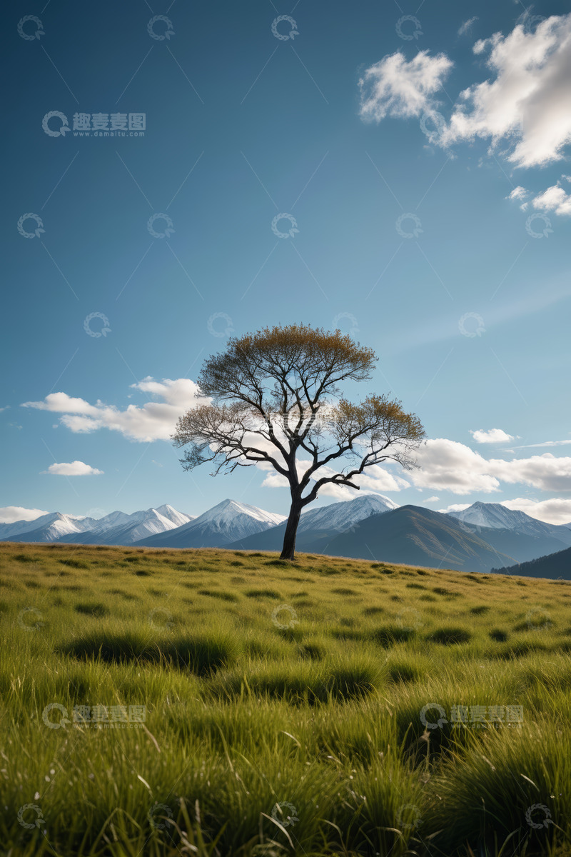 高清大图下载【趣麦麦图】草原孤树与雪山远景