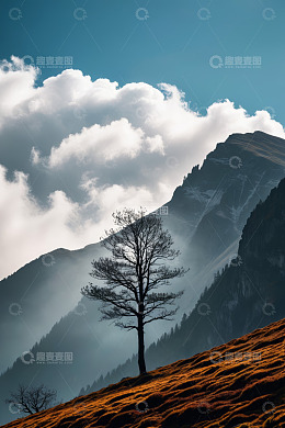 山间孤树与蓝天白云风景