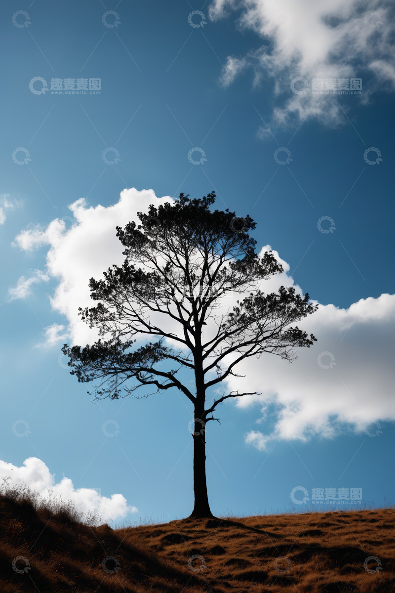 高清大图下载【趣麦麦图】蓝天下山坡上的孤树