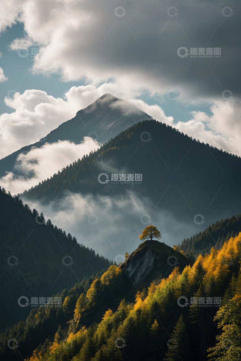 云雾缭绕的山林与孤树景观