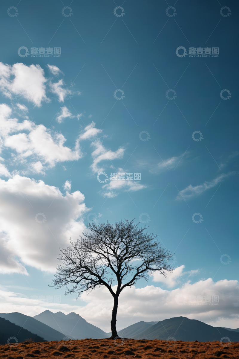高清大图下载【趣麦麦图】旷野孤树与蓝天白云山景