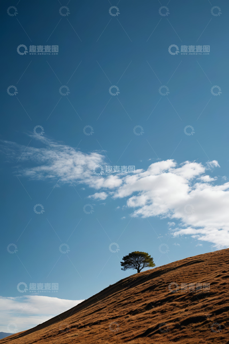 高清大图下载【趣麦麦图】山坡上的孤树与蓝天白云