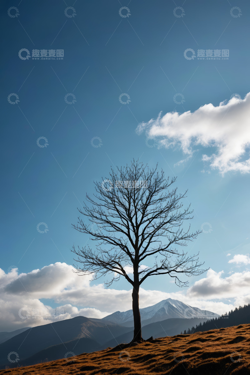 高清大图下载【趣麦麦图】旷野中孤树立于蓝天白云下