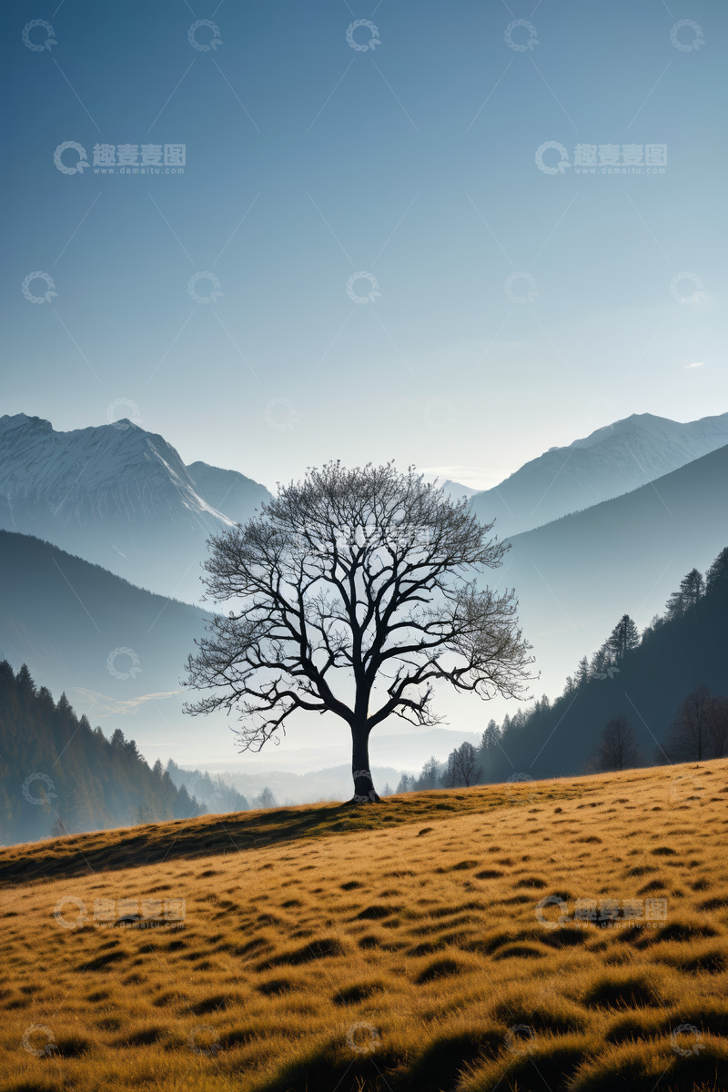 高清大图下载【趣麦麦图】山间草地孤树立于自然风光中