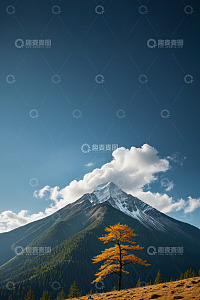 雪山下的金黄树木与森林风光