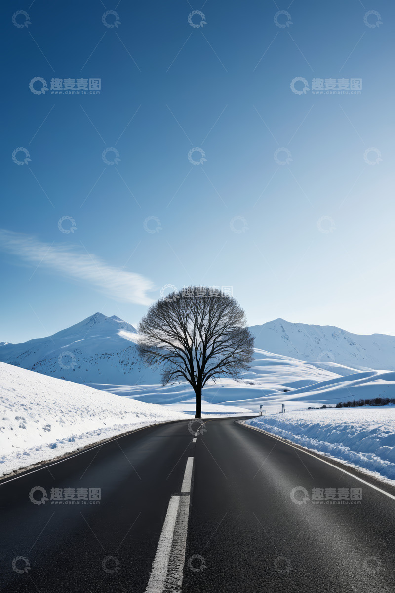 高清大图下载【趣麦麦图】雪地公路旁的孤树