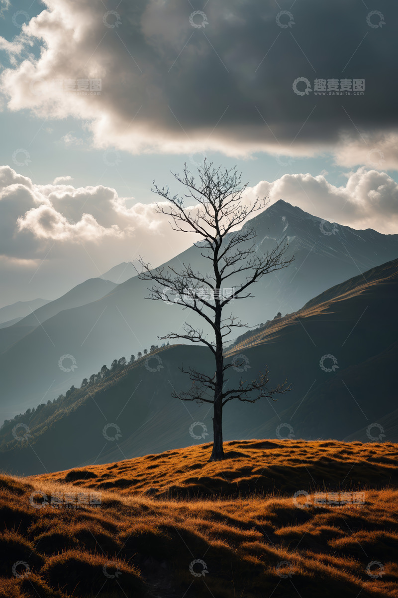 高清大图下载【趣麦麦图】山间孤树与远山云海景观