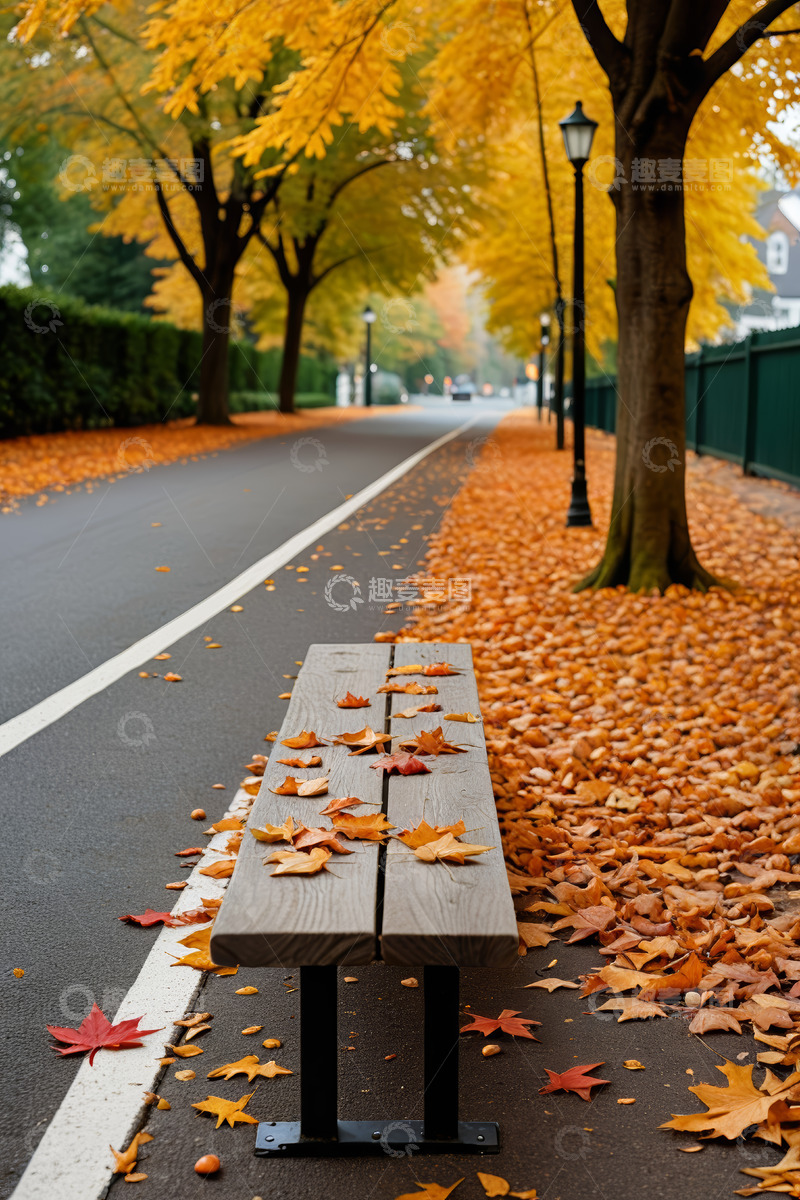 高清大图下载【趣麦麦图】秋日街道旁长椅落叶景观