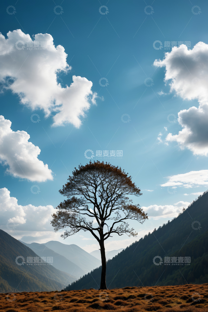 高清大图下载【趣麦麦图】蓝天白云下山谷中的孤树