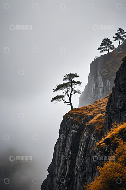 悬崖边孤树与雾中山景