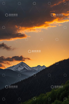 夕阳下雪山与山林景观