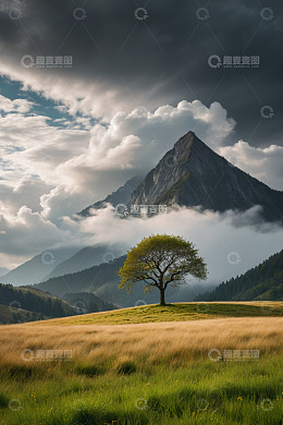 山间草原上的孤树与远景山峦