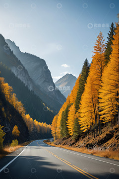 山间秋日公路风景