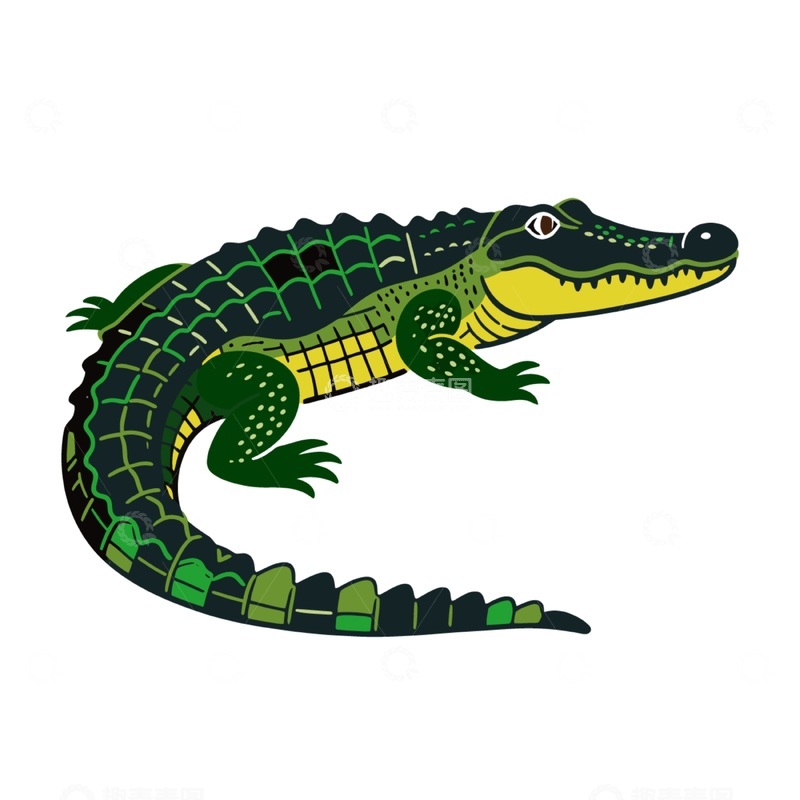 源文件下载【趣麦麦图】卡通鳄鱼插画矢量素材
