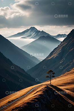 山间公路旁孤树与远山风景