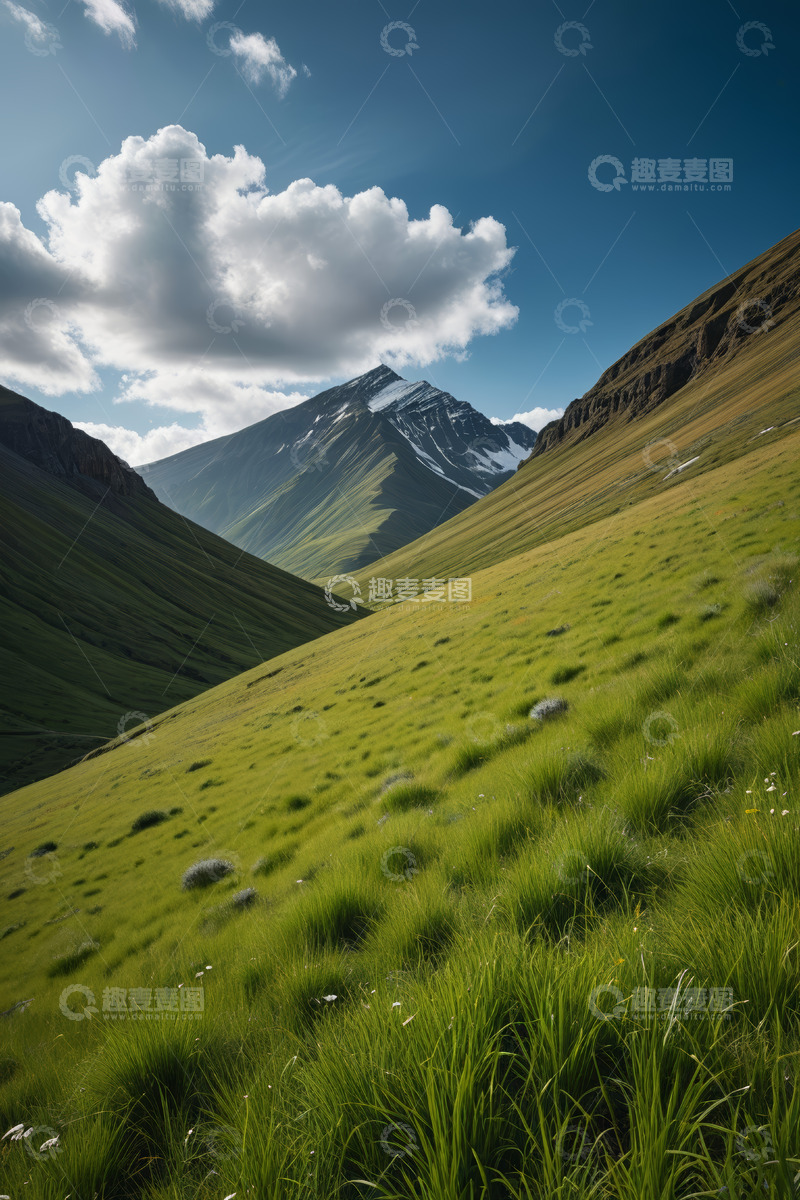 高清大图下载【趣麦麦图】高山草甸自然风光