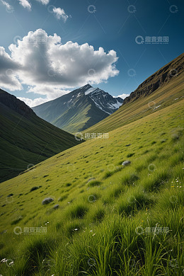 高山草甸自然风光
