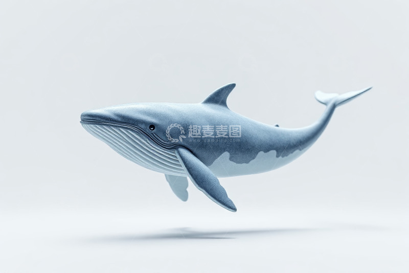 高清大图下载【趣麦麦图】蓝色鲸鱼3D模型展示