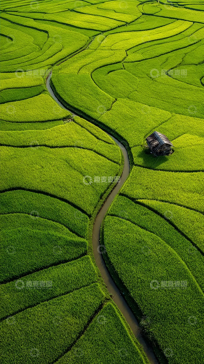 高清大图下载【趣麦麦图】绿色梯田蜿蜒如画