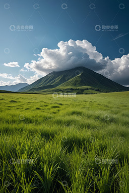 绿色草原与远山白云景观