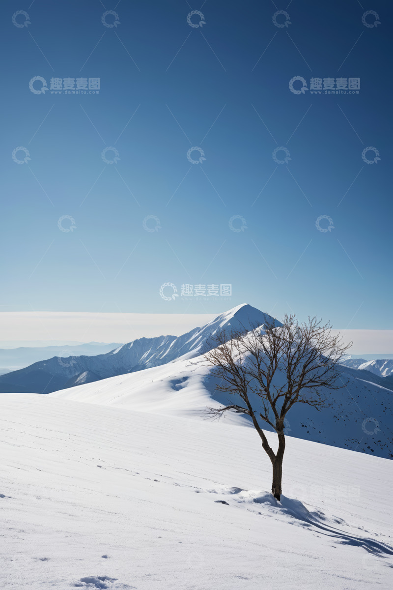 高清大图下载【趣麦麦图】雪山之巅的孤树风景