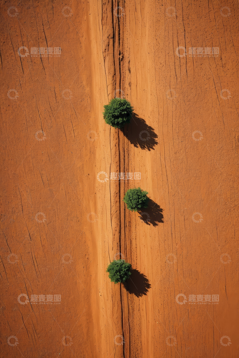 高清大图下载【趣麦麦图】沙漠中三棵绿植航拍景象