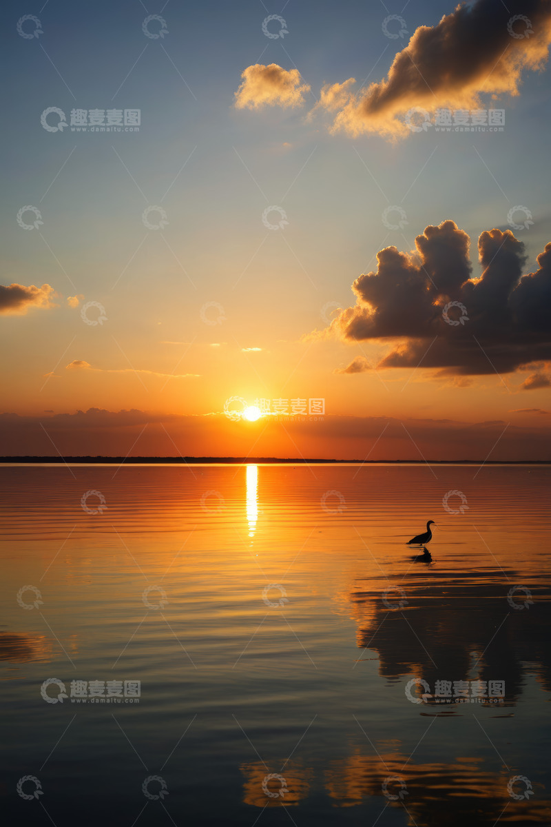 高清大图下载【趣麦麦图】湖面夕阳飞鸟自然景观